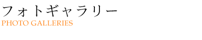 フォトギャラリー